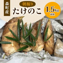 楽天市場】たけのこ 朝掘り（その他野菜｜野菜・きのこ）：食品の通販