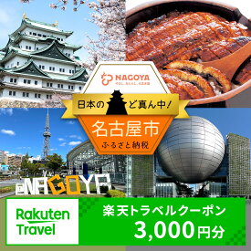 【ふるさと納税】愛知県名古屋市の対象施設で使える楽天トラベルクーポン 寄付額10,000円
