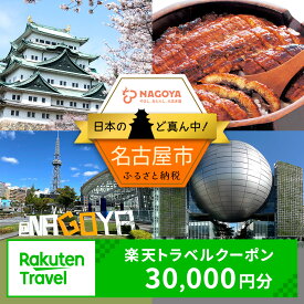 【ふるさと納税】愛知県名古屋市の対象施設で使える楽天トラベルクーポン 寄付額100,000円