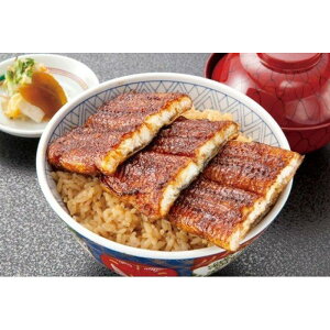 【ふるさと納税】国産特大うなぎ蒲焼き(うな丼用2セット) | 愛知県 名古屋市 愛知 名古屋 楽天ふるさと 納税 支援品 返礼品 支援 返礼 お取り寄せグルメ 取り寄せ グルメ お取り寄せ うな