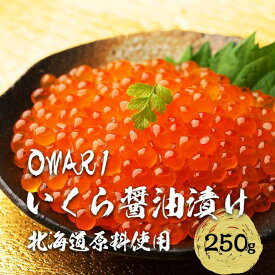 【ふるさと納税】いくら 醤油漬け 北海道 秋鮭卵 冷凍 OWARI