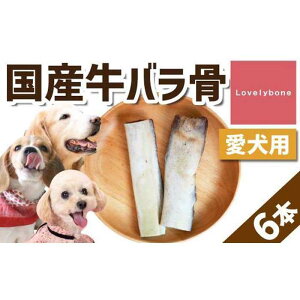 【ふるさと納税】精肉店がこだわった【大中小型犬向けおやつ】国産牛バラ骨 2本×3