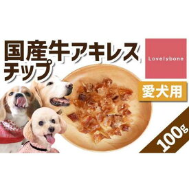 【ふるさと納税】精肉店がこだわった【大中小型犬向けおやつ】国産牛アキレスチップ　100g　無添加 手作り