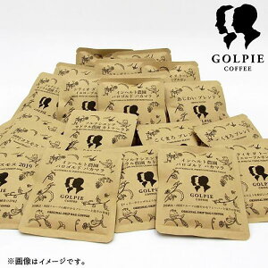 【ふるさと納税】【ゴルピーコーヒー】 ドリップバッグコーヒーセット(おまかせミックス20杯分)