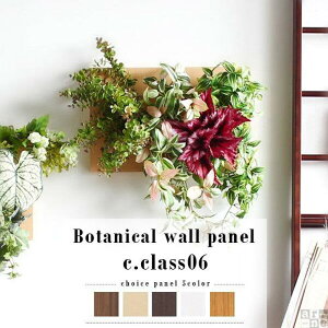 【ふるさと納税】Botanical c.class 06 ナチュラル