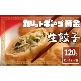 【ふるさと納税】カリットギョウザ生餃子120ケ【11～12人前】ジューシー