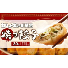 【ふるさと納税】カリットギョウザ焼き餃子冷凍30個　ジューシー