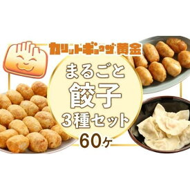 【ふるさと納税】カリットギョウザまるごとセット3種（60ケ）餃子 水餃子 スマイル餃子