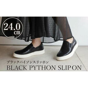 yӂ邳Ɣ[Łzy{vzubNpC\Xb|(24.0cm)@C U[ y