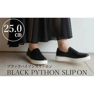 yӂ邳Ɣ[Łzy{vzubNpC\Xb|(25.0cm)@C U[ y