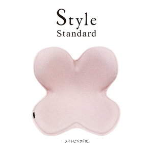 yӂ邳Ɣ[ŁzStyle Standard