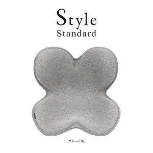 yӂ邳Ɣ[ŁzStyle Standard