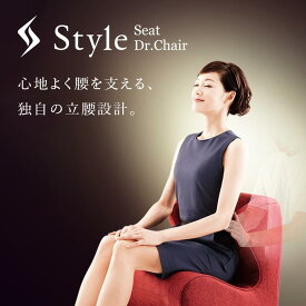 【ふるさと納税】Style Dr.CHAIR