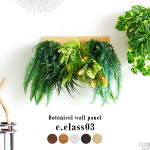 【ふるさと納税】Botanical c.class 03