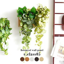 【ふるさと納税】Botanical c.class 05