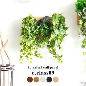 【ふるさと納税】Botanical c.class 09