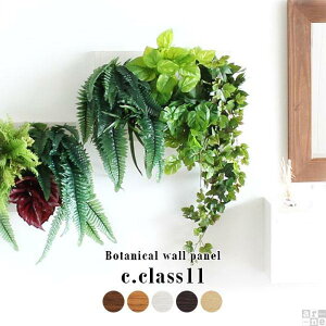 【ふるさと納税】Botanical c.class 11