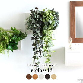 【ふるさと納税】Botanical c.class 12