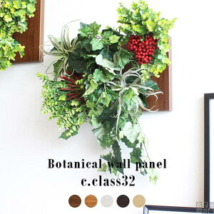 【ふるさと納税】Botanical c.class 32
