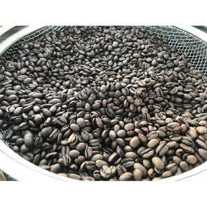 yӂ邳Ɣ[Łzdoctor coffee@蓤@2