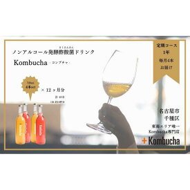 【ふるさと納税】美味しく楽しめる！+KombuchaのKombucha1年定期コース