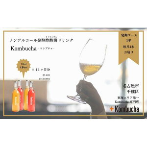 yӂ邳Ɣ[Łzy߂I+KombuchaKombucha1NR[X