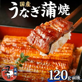 【ふるさと納税】名古屋 うなぎのしら河 国産 鰻 蒲焼き 120g前後×1尾 タレ 山椒付 | 土用の丑 うなぎ ウナギ かばやき 鰻丼 うな重 鰻重 お中元 お歳暮 ギフト 愛知県 名古屋市