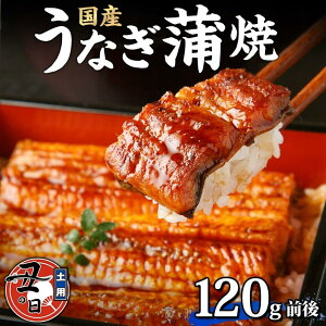 yӂ邳Ɣ[ŁzÉ Ȃ̂ Y V Ă 120gO×1 ^ Rt Ȃ EiM ΂₫ V ȏd Vd  Ε Mtg  m És