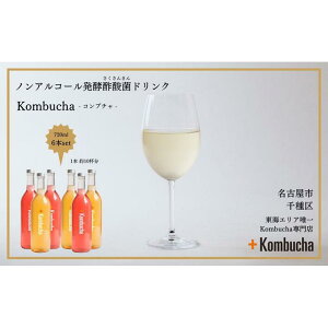 【ふるさと納税】美味しく楽しめる!+KombuchaのKombucha6本セット