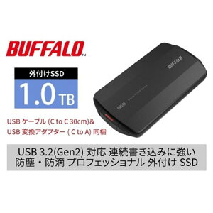 【ふるさと納税】バッファローTypeA&C MiniStation SSD 1TB