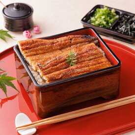 【ふるさと納税】三河一色産手焼き炭火焼き活うなぎ蒲焼き　5尾セット