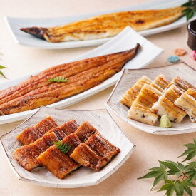 【ふるさと納税】三河一色産手焼き炭火焼き活うなぎ蒲焼き・白焼き紅白セット各2尾 | 土用の丑