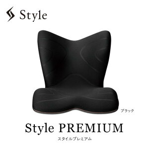 yӂ邳Ɣ[ŁzStyle PREMIUM