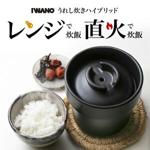 yӂ邳Ɣ[ŁzIWANO ꂵ nCubh