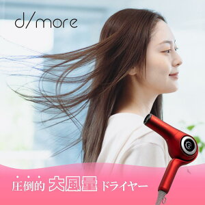 【ふるさと納税】ラディアントヘアドライヤー ディモア