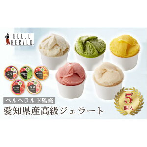 【ふるさと納税】もぎたてのような旬の味がたのしめる!愛知県のおいしさが詰まったベルヘラルド5種のジェラートギフトボックス