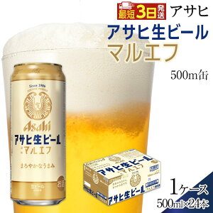 yӂ邳Ɣ[ŁzATq@r[@}Gt@500ml×24{@1P[X
