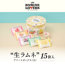 【ふるさと納税】＼レビューキャンペーン実施中／ 【THE RAMUNE LOVERS】生ラムネ アソートボックス大 ザ・ラムネラバーズ