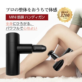 【ふるさと納税】マッサージガン 小型 リラックス ハンディ 電動 全身リフレッシュ リラックス ボディケア コンパクト 4モード調節 4つの交換ヘッド 健康グッズ 肩こり トレーニング レディース メンズ 癒しグッズ USB充電式 1年間保証付き 日本語取扱説明書