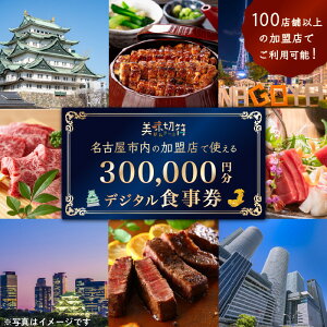yӂ邳Ɣ[ŁzH dq}l[ m És̈HX100X܈ȏŎg邨H [jOE`EfBi[ uؕv 300,000~