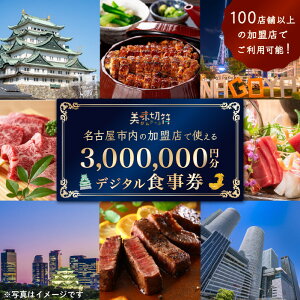 yӂ邳Ɣ[ŁzH dq}l[ m És̈HX100X܈ȏŎg邨H [jOE`EfBi[ uؕv3,000,000~