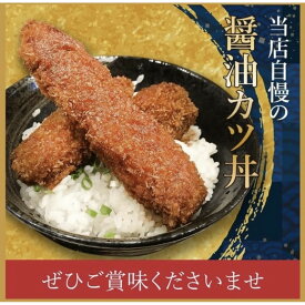 【ふるさと納税】新名古屋メシ　わだ泉の醤油カツと秘伝のタレ