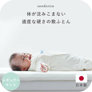 yӂ邳Ɣ[Łz1227-8888-54xr[ ~ӂƂ Ŗȃ}bg M[TCYi70×120cmj