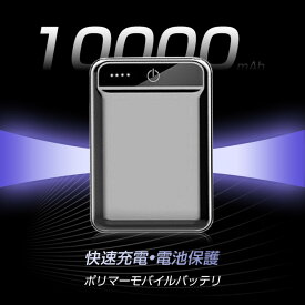 【ふるさと納税】10000mAh 大容量 モバイルバッテリー 急速充電 防災電源 2.1A スマホ充電器 小型 軽量 USB2ポート 2台同時充電可能 LED液晶画面 残量表示 携帯充電器 iphoneX 【PL保険加入済み製品・安心】