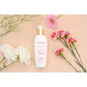 yӂ邳Ɣ[Łz܂邲ƔeieIepbNj@