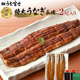 【ふるさと納税】炭焼うな富士 国産特大うなぎ長焼二尾入り | 愛知県 名古屋市 楽天ふるさと納税 返礼品 お礼の品 お取り寄せグルメ 取り寄せ グルメ お取り寄せ うなぎ 国産 鰻 ウナギ 国産鰻 国産うなぎ 魚介 魚介類 食品 美味しい