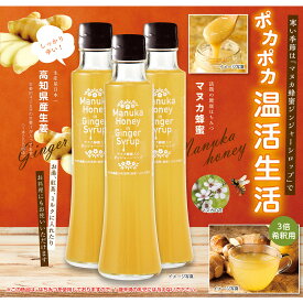 【ふるさと納税】Mother’s　Marketマヌカ蜂蜜入りジンジャーシロップ　200ml×3本