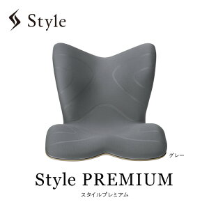 yӂ邳Ɣ[ŁzStyle PREMIUM