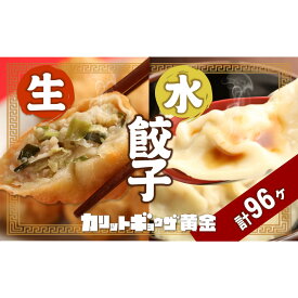【ふるさと納税】カリットギョウザ やまもりセット2種（96ケ）餃子 64 水餃子 32