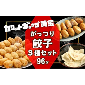 【ふるさと納税】カリットギョウザ がっつりセット3種（96ケ）餃子 水餃子 スマイル餃子